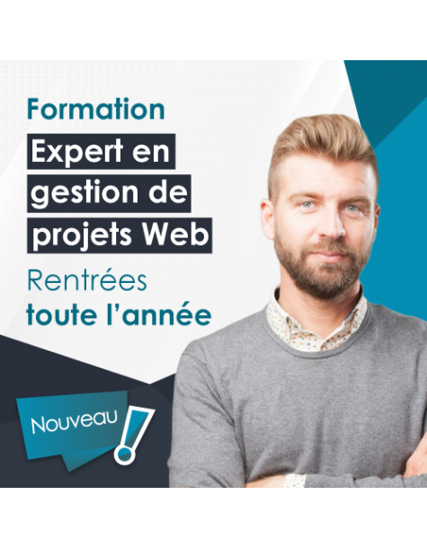 Expert en gestion de projet