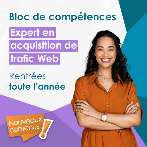 Formation Expert en acquisition de trafic web