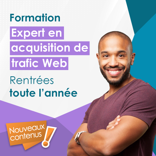 Bloc de compétences Expert en acquisition de trafic web - Andilcampus