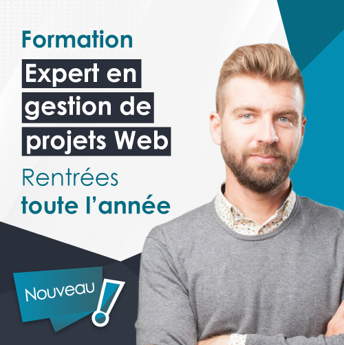 Bloc de compétences Expert en gestion de projet web - Andilcampus