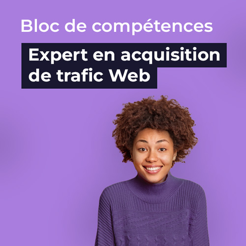 Formation Expert en acquisition de trafic web (bloc de compétences niv. Bac +4)