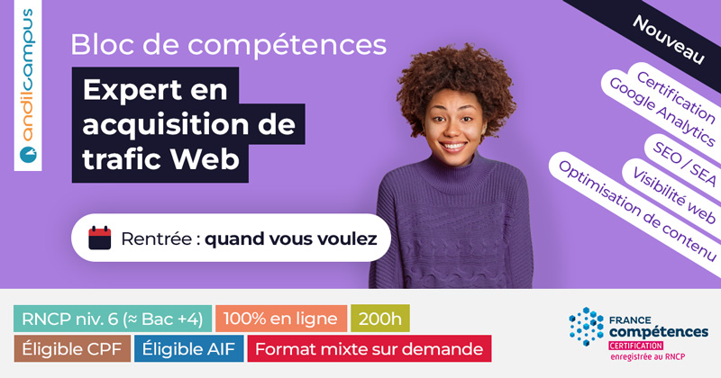 Formation Expert en acquisition de trafic web (bloc de compétences niv. Bac +4)